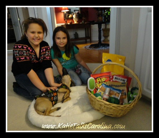 And the Doggie Gift Basket Goes To… #ILoveMyK9 #CBias