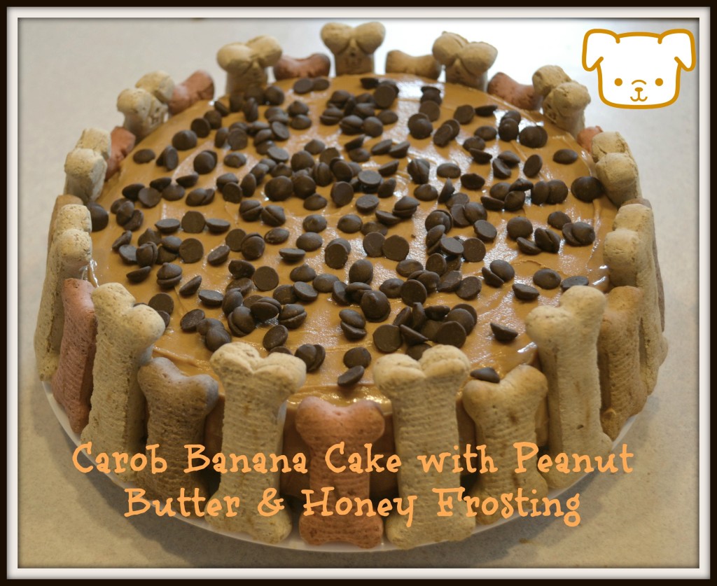 Carob Doggie Cake1